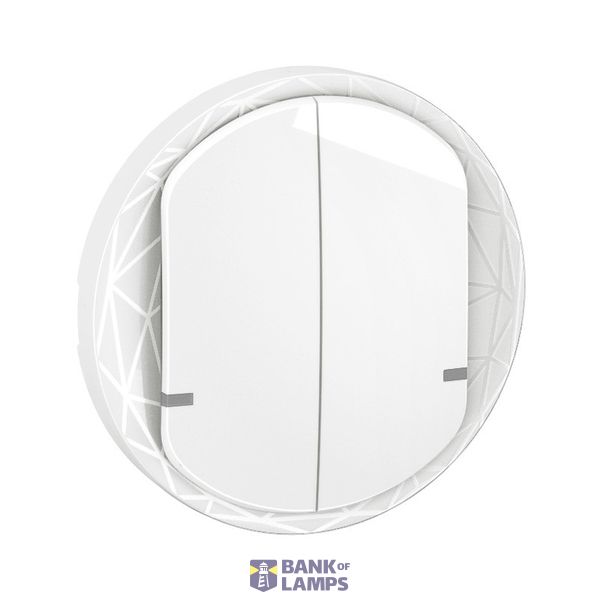 Cover Plate 2 Gang 57mm Enamelled White image 1