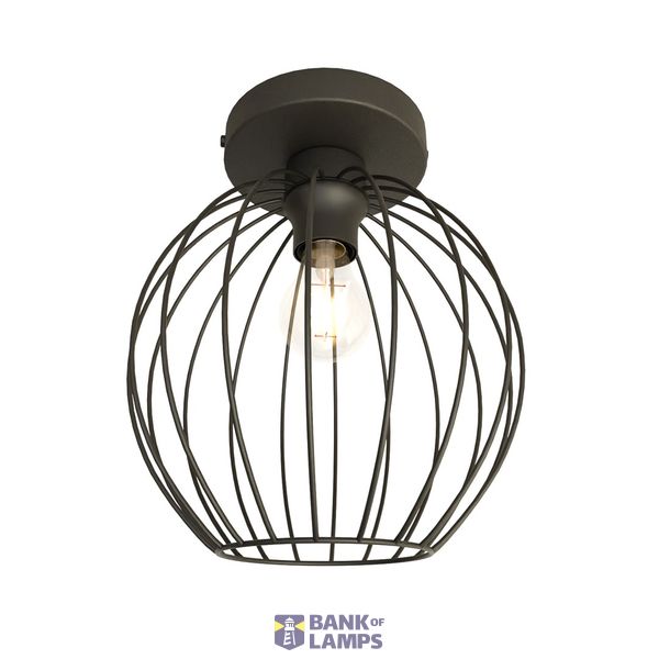1371/1 NEST 1 BL image 2