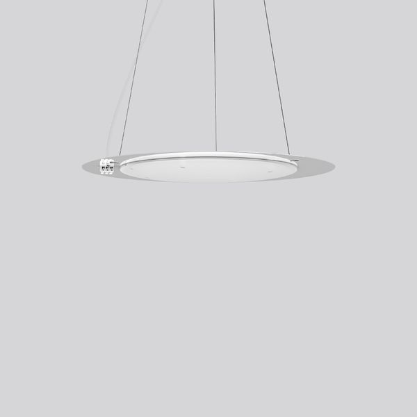 FLATLINER SLIM, 29 W, 2300 lm, 830, white, Phase-cut Pendant luminaire image 1