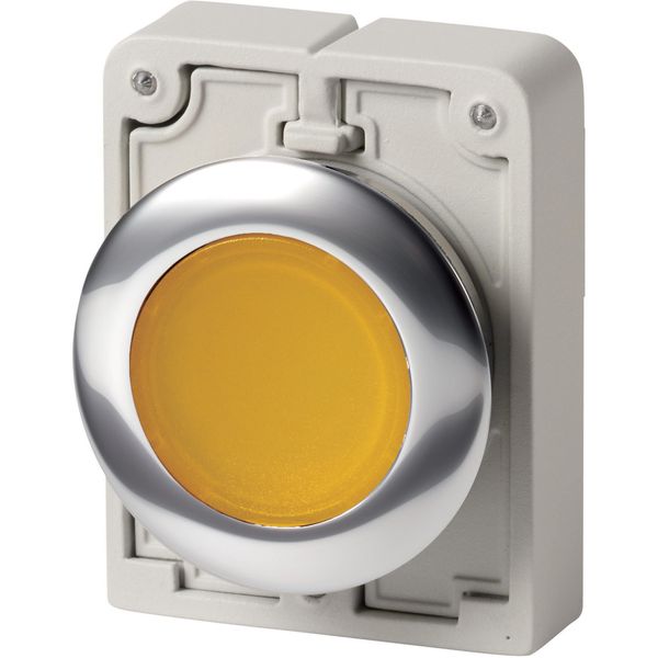M30C-FDRL-Y Illuminated pushbutton actuator, RMQ-Titan, Flat, maintained, yellow, Blank, Metal bezel image 5