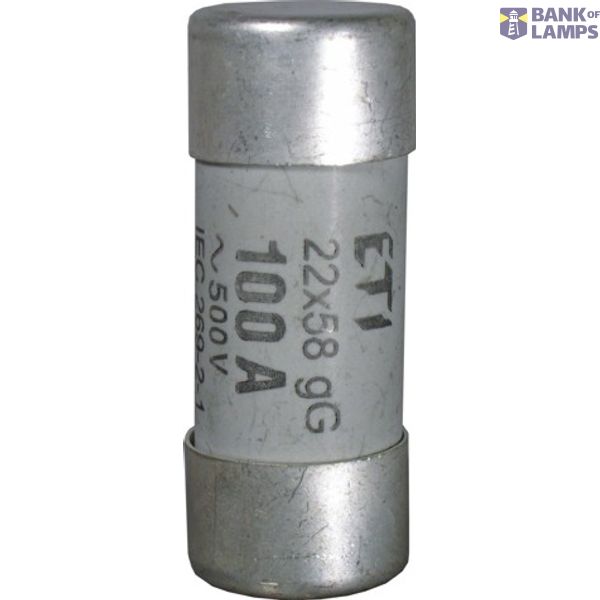 CH22x58/P gG 125A/690V image 1