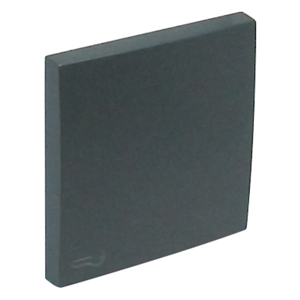 ROCKER F/SWITCHES W/LOCK SYMBOL GRAY image 2