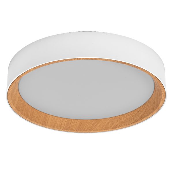 ORBIS LARIOS 290 16W 830CLICKD WDWTOSRAM image 1