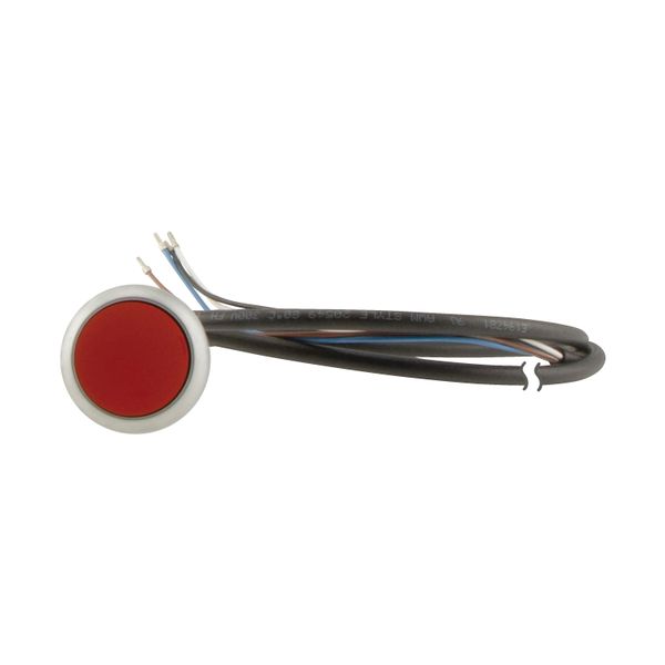 C22-D-R-K01-P62 Pushbutton, Flat, momentary, 1 NC, Cable (black) with non-terminated end, 4 pole, 1 m, red, Blank, Bezel: titanium image 14