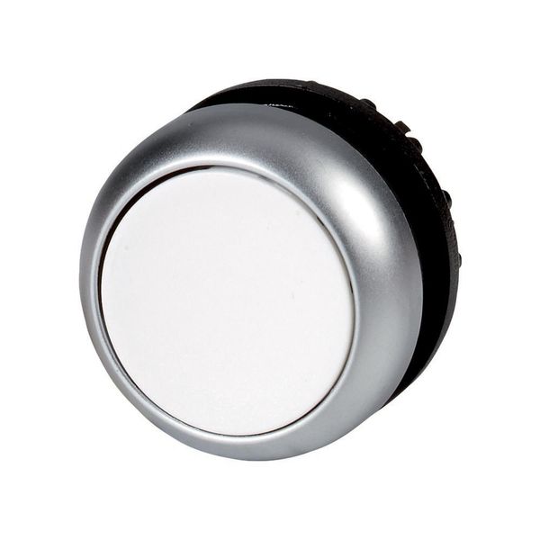 M22-DR-W Pushbutton, RMQ-Titan, Flat, maintained, White, Blank, Bezel: titanium image 2