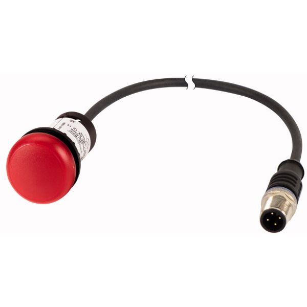 C22-L-R-24-P3 Indicator light, Flat, Cable (black) with M12A plug, 4 pole, 0.5 m, Lens Red, LED Red, 24 V AC/DC image 1