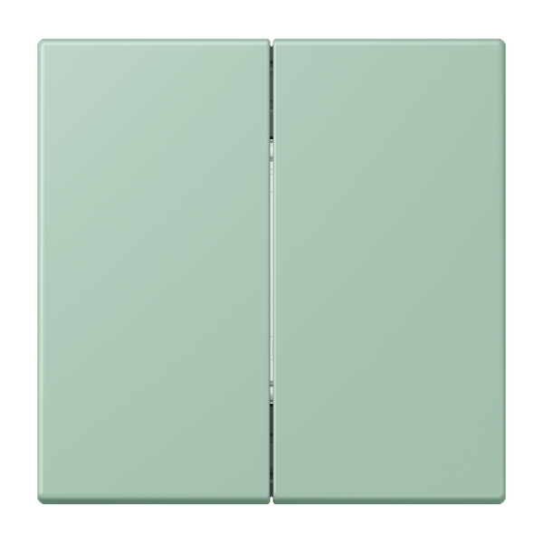 Friends of Hue radio transmitter LC32041 FOHLC995217 image 1
