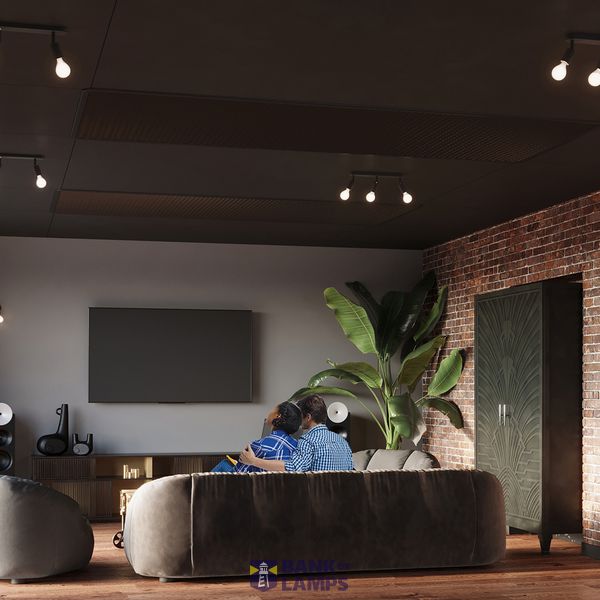 CEILING LAMP FORNES 2 BLACK E27 2X60 IP20 image 7