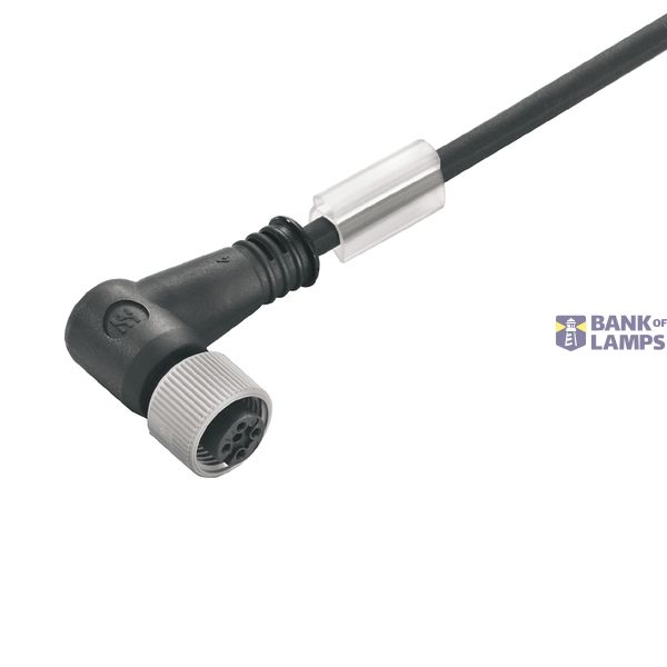 Sensor-actuator Cable, M12, Number of poles: 4, 0.5 m, Socket, angled, image 2