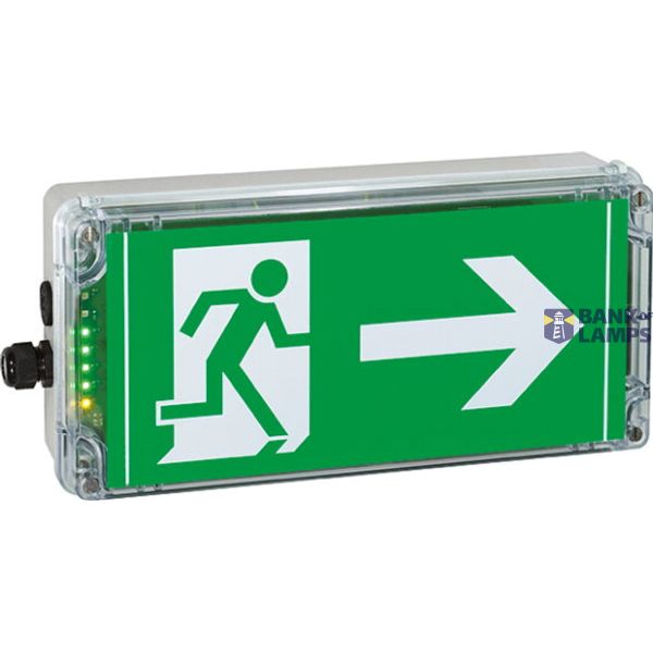 Ex-escape sign luminaires EXIT N with integrated emergency light function for zone 1/21, Pictogram: DIN 4844, Arrow: 3 Clock image 3