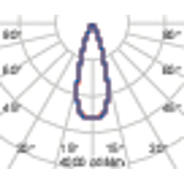 TYK+ 30 81 C/M 927 ANTHRACITE DALI image 4