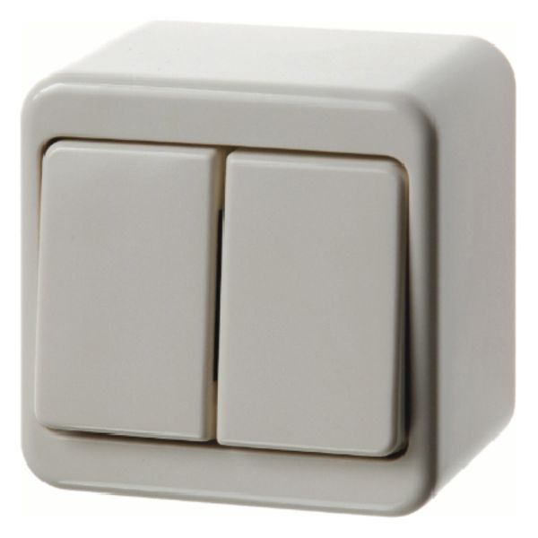 Surf.-mtd double change-over switch, isolated input term., surf.-mtd, image 1