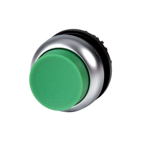 M22-DRH-G Pushbutton, RMQ-Titan, Extended, maintained, green, Blank, Bezel: titanium image 6