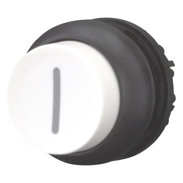 M22S-DH-W-X1 Pushbutton, RMQ-Titan, Extended, momentary, White, inscribed, Bezel: black image 3