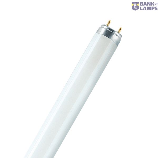 Standart T8 36 W/530 100cm image 1