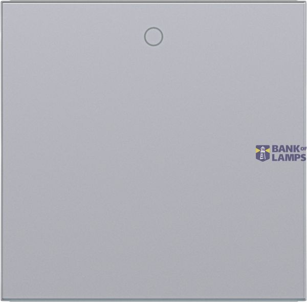 Single rocker, imprint "0", A.x/C.x, titanium image 1