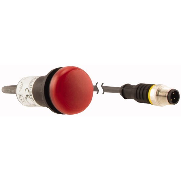C22-L-R-24-P3 Indicator light, Flat, Cable (black) with M12A plug, 4 pole, 0.5 m, Lens Red, LED Red, 24 V AC/DC image 4