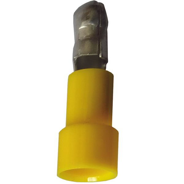 Fichero: Ter ench red amarillo.jpg image 1