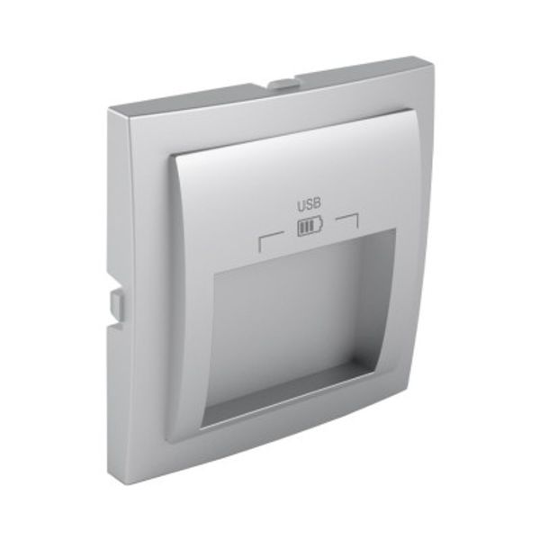 C PLATE DOUB USB CHARG TYPE A 20° OUTPUT SI image 1