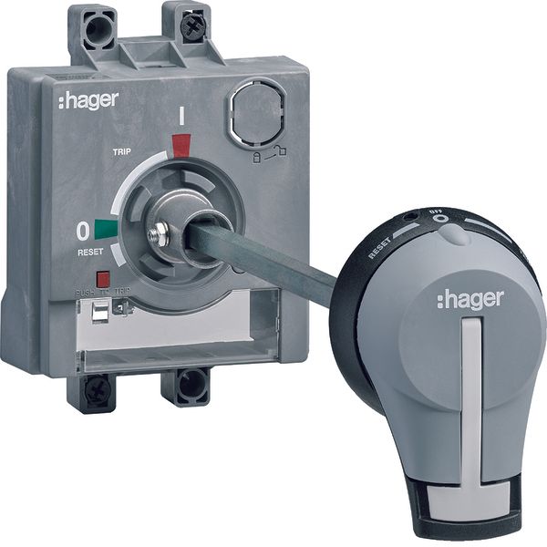 Rotary handle on door for P250 image 1