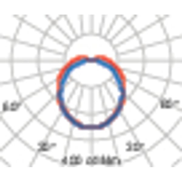 BLIZ OVAL 21 S/EW 840 GREY image 3