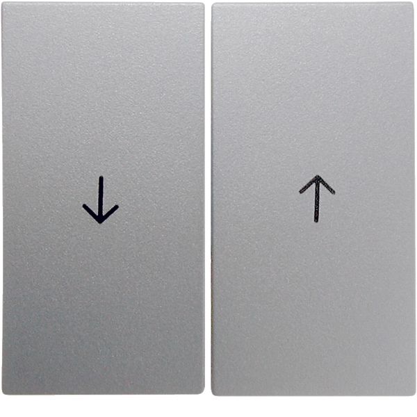 Rocker 2gang imprinted arrow symbol, B.7, al., matt, lacq. image 1