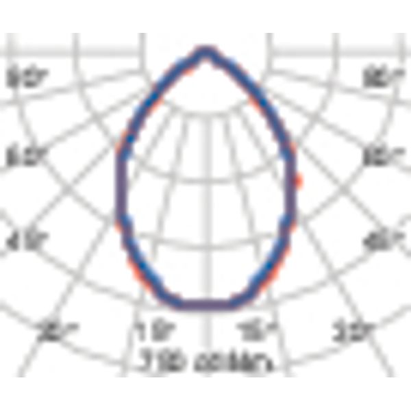 WIN PRO 20 70 S/EW 730 DALI image 7