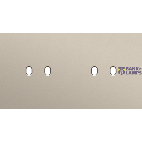 Twofold faceplate, horizontal 71 mm centre distance, for 2 Niko Toggle image 4