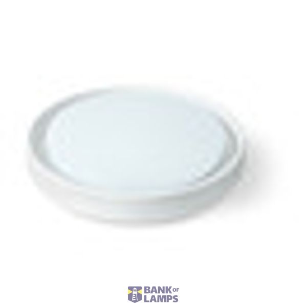 WHITE PLAFO 30W WW IP54 230V image 2