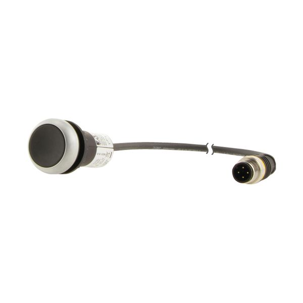 C22-D-S-K01-P5 Pushbutton, Flat, momentary, 1 NC, Cable (black) with M12A plug, 4 pole, 1 m, black, Blank, Bezel: titanium image 6