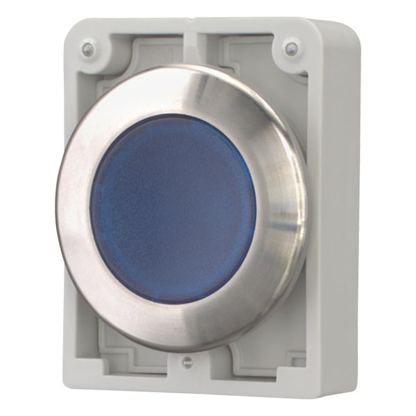 M30I-FDL-B Illuminated pushbutton actuator, RMQ-Titan, flat, momentary, Blue, blank, Front ring stainless steel image 4