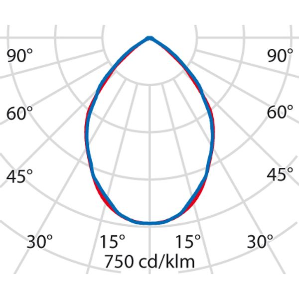 WIN PRO+ 20 70 S/EW 730 GR94 DALI image 5