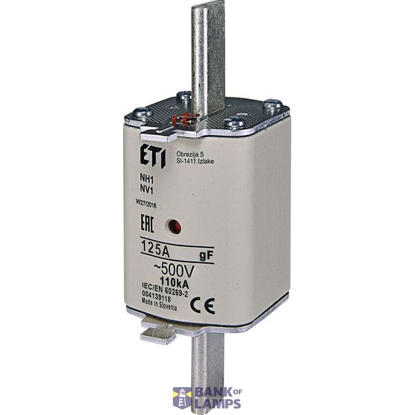 NH1/WT-1 gF 125A/500V image 1
