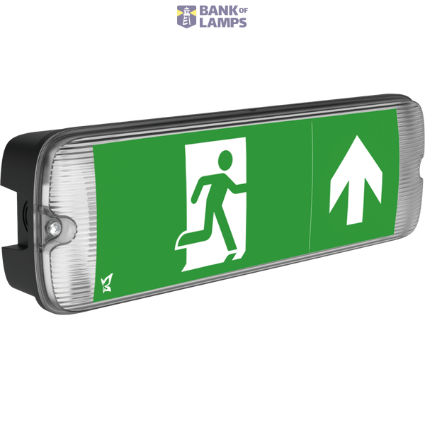 Mulu Duo Manual & Self-test IP65 EME Exit Bulkhead 1.5W/5W Black image 1