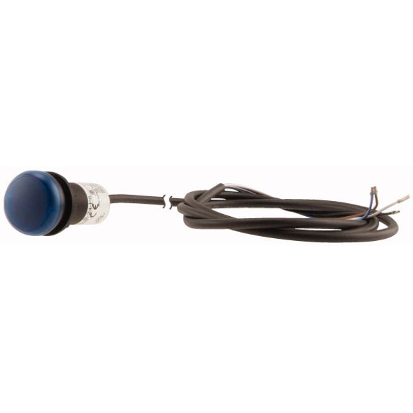 C22-L-B-24-P65 Indicator light, Flat, Cable (black) with non-terminated end, 4 pole, 3.5 m, Lens Blue, LED Blue, 24 V AC/DC image 3