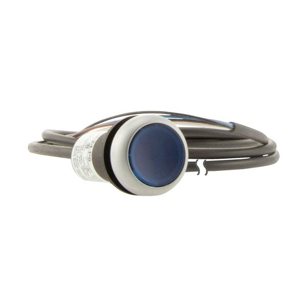 C22-DRL-B-K10-24-P65 Illuminated pushbutton actuator, classic, flat, maintained, 1 N/O, blue, 24 V AC/DC, cable (black) with non-terminated end, 4 pole, 3.5 m image 16