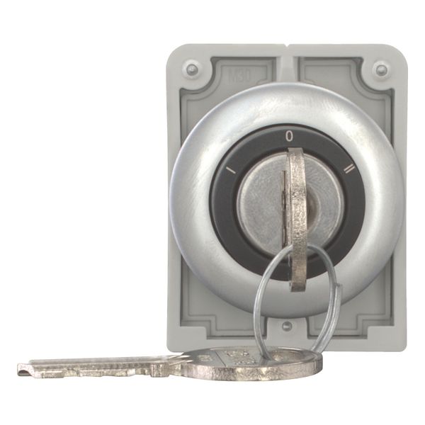 M30C-FWRS3-RS-A1 Key-operated actuator, Flat Front, maintained, 3 positions, Ronis 455, Key withdrawable: 0, Metal bezel image 5