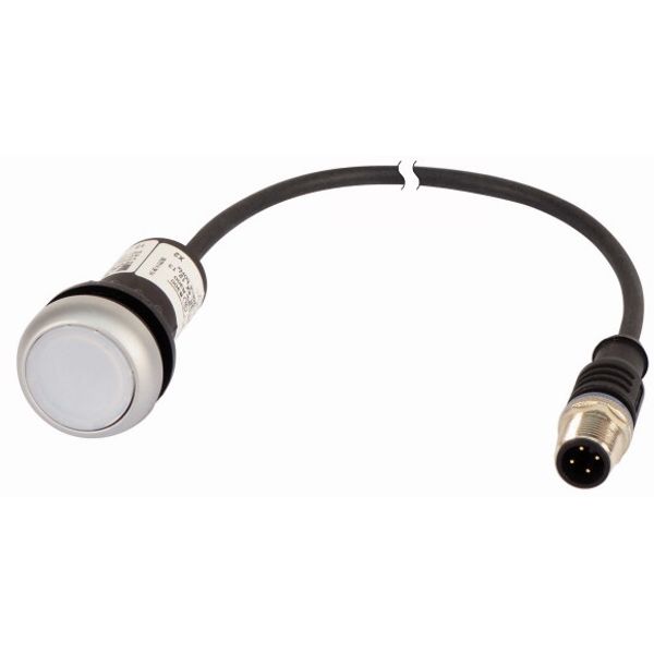 C22-DRL-W-K10-24-P1 Illuminated pushbutton actuator, classic, flat, maintained, 1 N/O, white, 24 V AC/DC, cable (black) with m12a plug, 4 pole, 0.2 m image 1