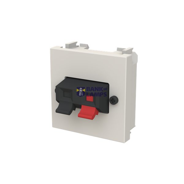 N2257.1 DN - Speaker terminals image 2