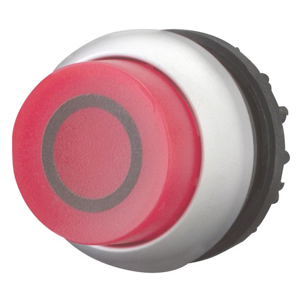 M22-DLH-R-X0 Illuminated pushbutton actuator, RMQ-Titan, Extended, momentary, red, inscribed, Bezel: titanium image 3