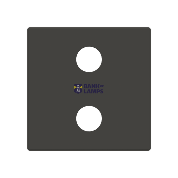 2RCA con unit cover plate image 1