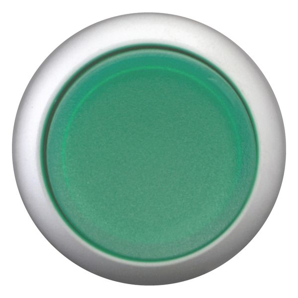 M22-DRLH-G Illuminated pushbutton actuator, RMQ-Titan, Extended, maintained, green, Blank, Bezel: titanium image 12