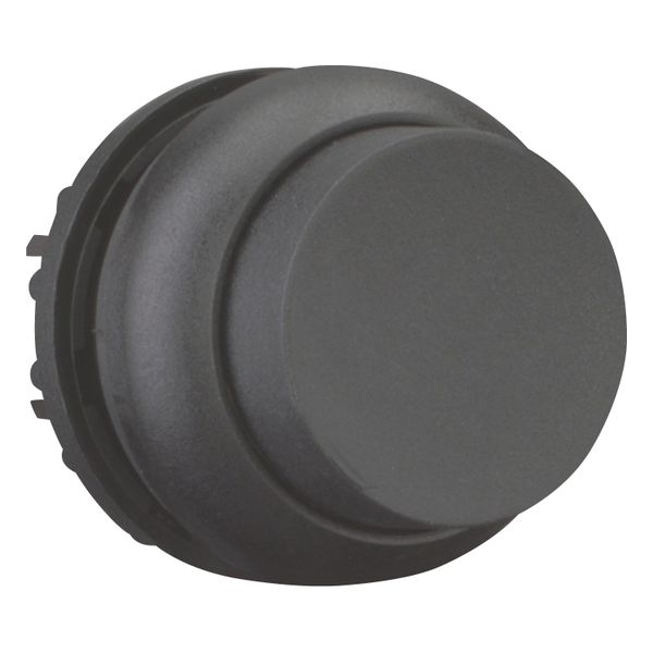 M22S-DH-S Pushbutton, RMQ-Titan, Extended, momentary, black, Blank, Bezel: black image 8