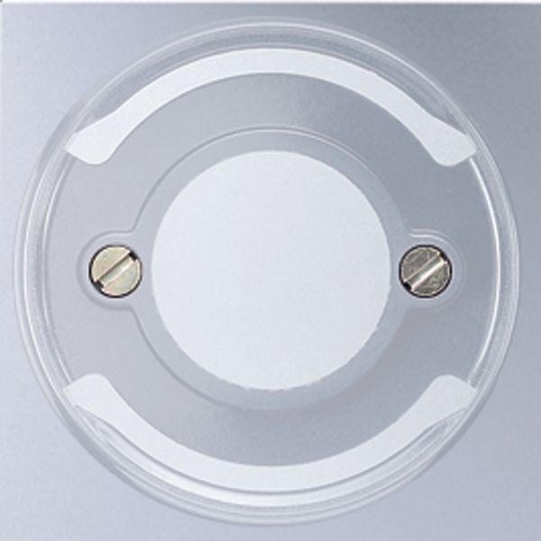 Cover plate for pilot light inserts A537BFPLAL image 3