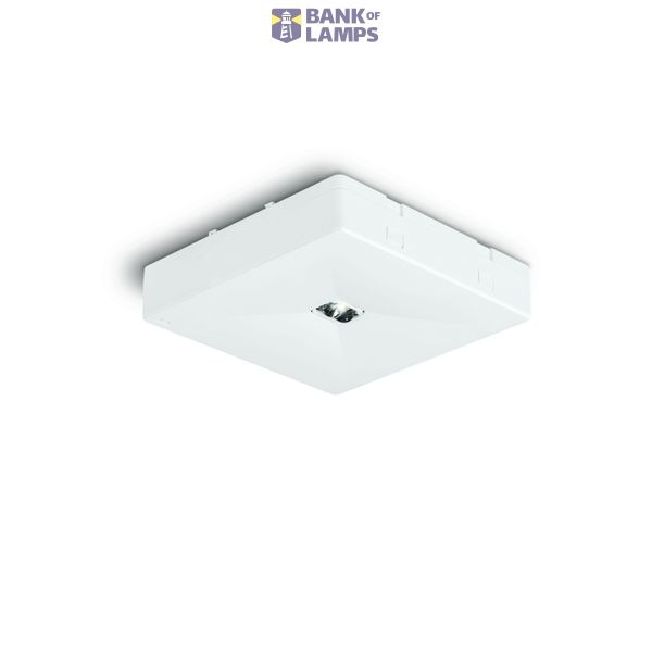 ONTEC C C1U 301 NM ST G Emergency LED light - Individual order image 1