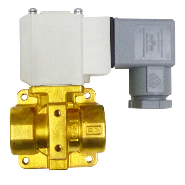 SOLENOID VALVE A/W HEAT EXCH. 1000W image 1