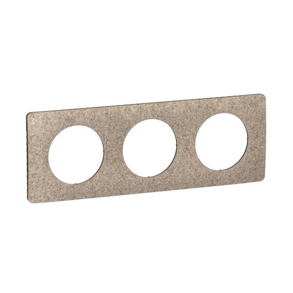 PLATE 3 GANG FELT image 2