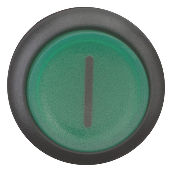 M22S-DLH-G-X1 Illuminated pushbutton actuator, RMQ-Titan, Extended, momentary, green, inscribed, Bezel: black image 10