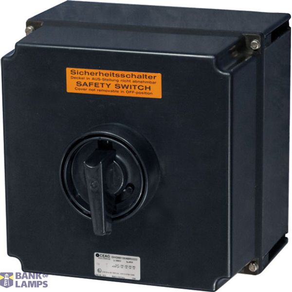 Safety switch for zone 22, Variant: 80A-4P, Material: GRP image 2