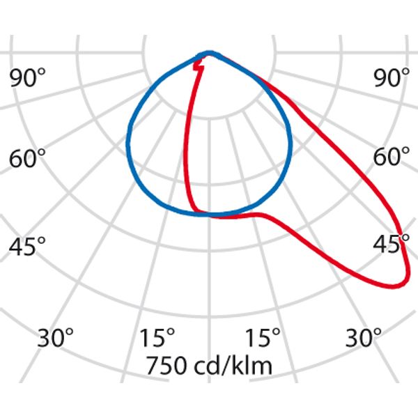 GUELL1 36 A40/W 830 GR94 DALI image 5